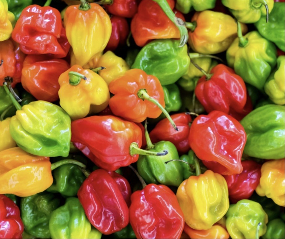 Hot Pepper Benefits
